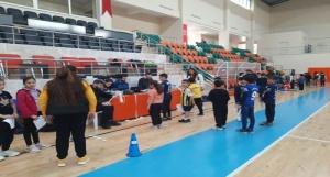 Türkiye Spora Yönlendirme ve Sportif Tarama
